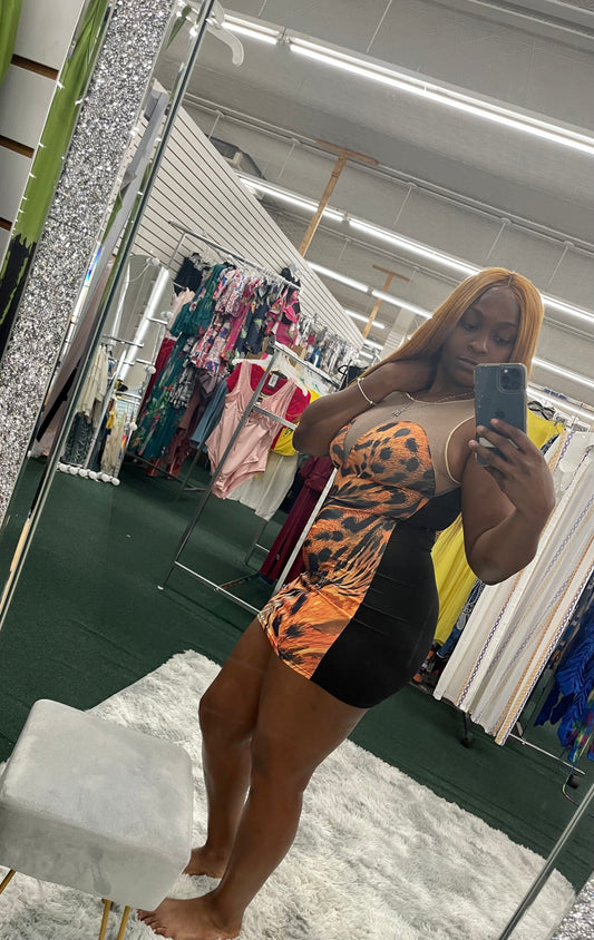 Wild Mesh Dress - Klusiv LLC